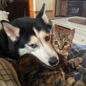 Meet your Posher, Sharon